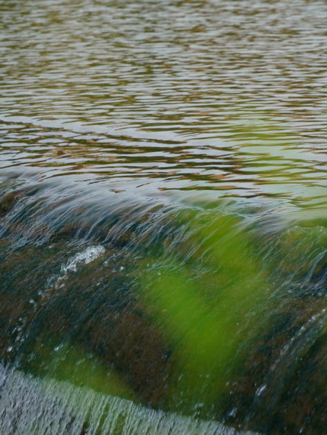 rights_to_clean_water